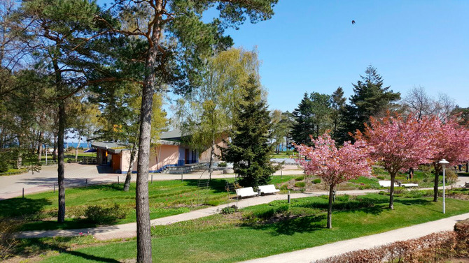 Ferienwohnung in Baabe - Seepferdchen - Bild 2
