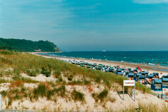 Ferienwohnung in Baabe - Seepferdchen - Bild 4