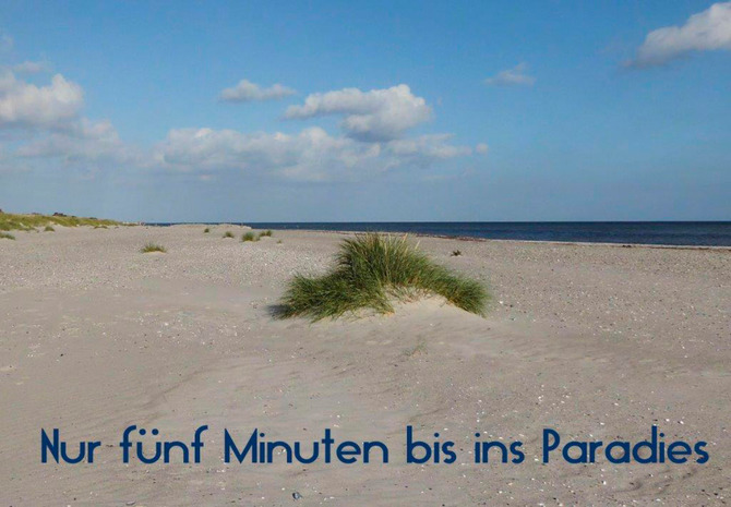 Ferienwohnung in Gr&ouml;mitz - Lensterbek N&deg; 8 - Bild 8