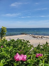 Ferienwohnung in Langholz - Seeblick - Bild 17