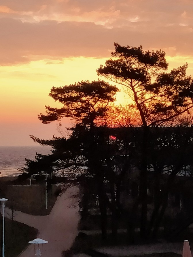 Ferienwohnung in Baabe - Dünenkieker - Bild 8