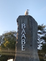 Ferienwohnung in Baabe - Dünenkieker - Bild 15