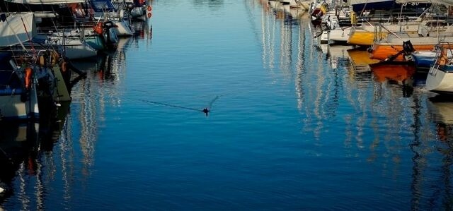 Ferienwohnung in Neustadt - ancora Marina Haus 2 Nr. 05, Typ 1 - Bild 24