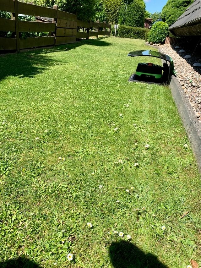 Ferienhaus in Bünsdorf - Ferienhaus Busch - Bild 14