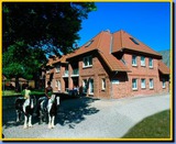 Ferienwohnung in Fehmarn OT Presen - "Ferienhof Rie&szlig;en" Utspan Nr. 67 - Bild 1