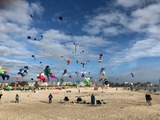 Ferienwohnung in Fehmarn OT Niendorf - Ferienwohnung Thor - Bild 6