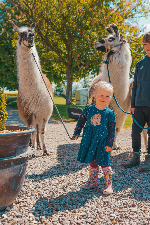 Ferienwohnung in Fehmarn OT Westermarkelsdorf - Brise - Bild 25