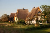 Ferienhaus in Dierhagen - Dünenmeer Ferienhäuser - Bild 4