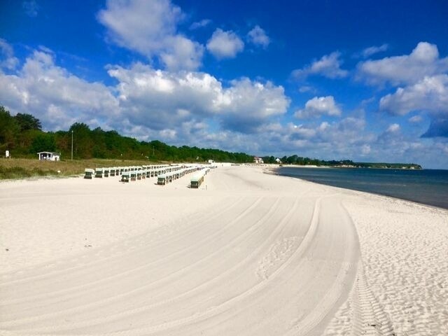 Ferienwohnung in Boltenhagen - Ferienhaus "An der Steilk&uuml;ste" Whg. 1 - Bild 17
