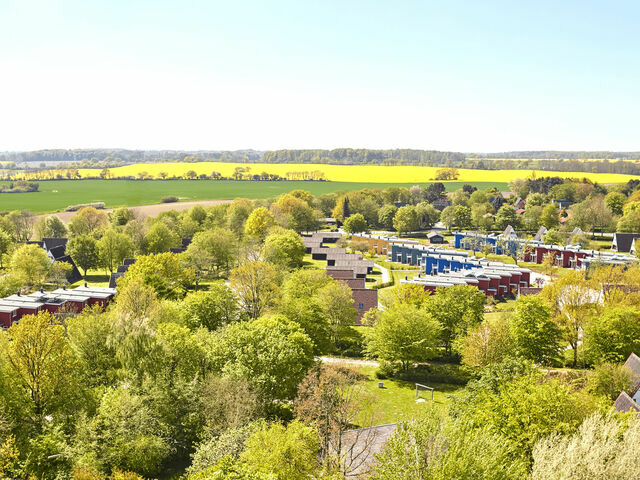 Ferienhaus in Damp - Premiumhaus in Damp der Ostsee - Bild 2