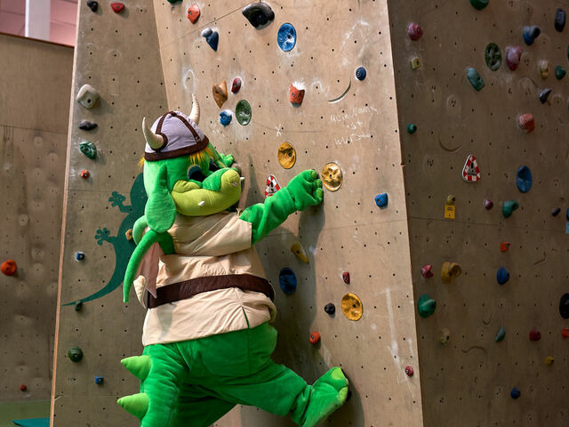 Ferienhaus in Damp - Premiumhaus in Damp der Ostsee - Bild 14