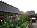 Ferienhaus in Damp - Nurdachhaus in Damp an der Ostsee - Bild 14