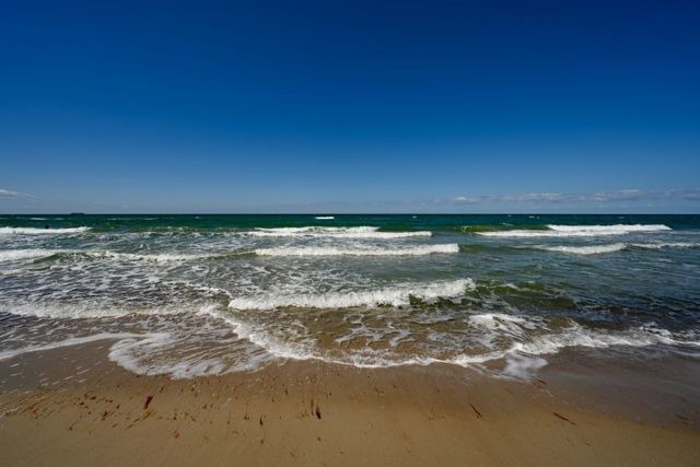 Ferienwohnung in Graal-M&uuml;ritz - Stranddistel - Bild 24
