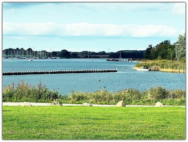 Ferienhaus in Kappeln - Schleibungalow Nr.15 zw. Ostsee und Schlei - Bild 23