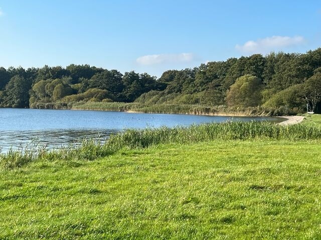 Ferienhaus in Kappeln - Schleibungalow Nr.15 zw. Ostsee und Schlei - Bild 24