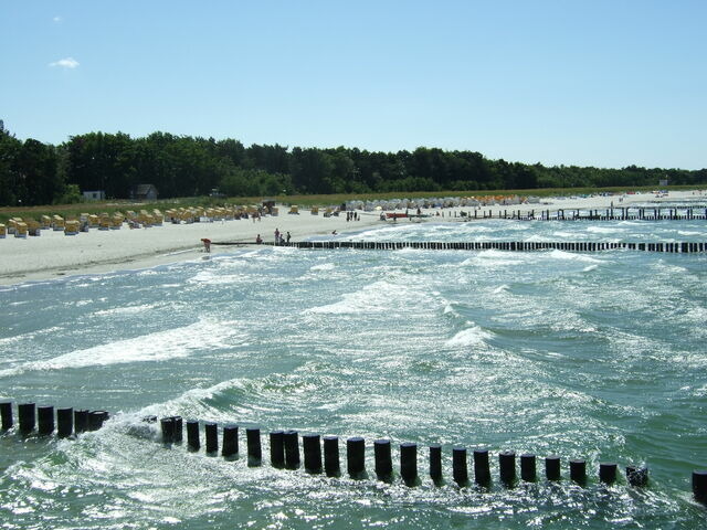 Ferienhaus in Zingst - beliebtes FH "Möwe" nur 2 Minuten vom Strand... NEU: WLAN - Bild 16