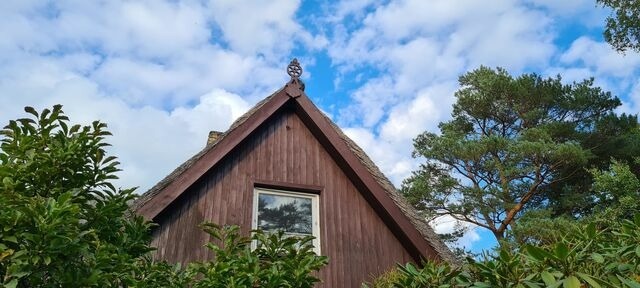 Ferienhaus in Dierhagen - Fischlandhus - Bild 23