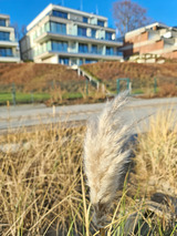 Ferienwohnung in Gr&ouml;mitz - Am Hohen Ufer Whg. 5 - Bild 15