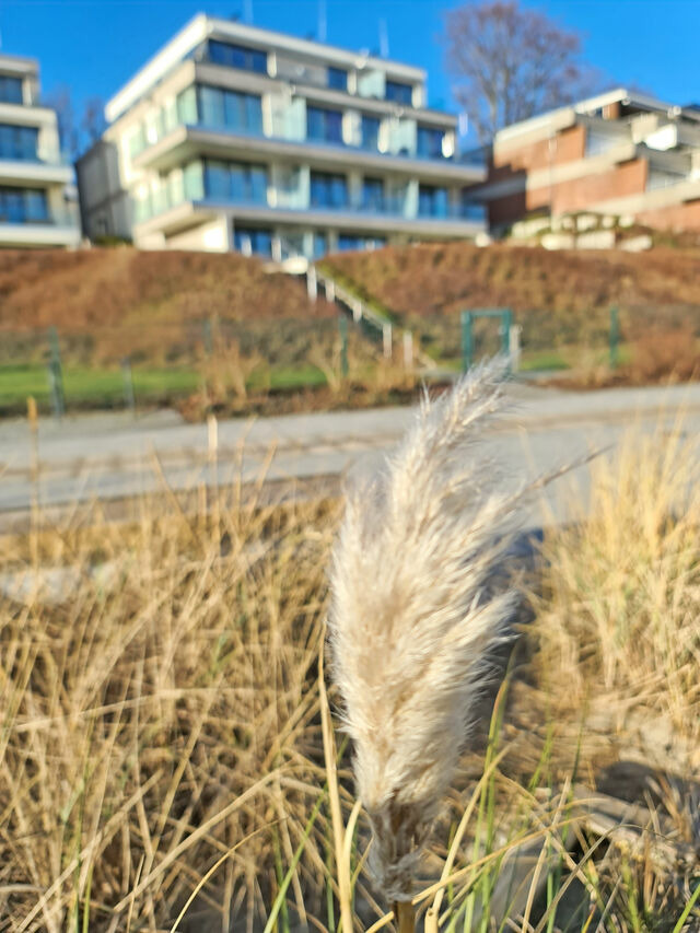 Ferienwohnung in Gr&ouml;mitz - Am Hohen Ufer Whg. 5 - Bild 15