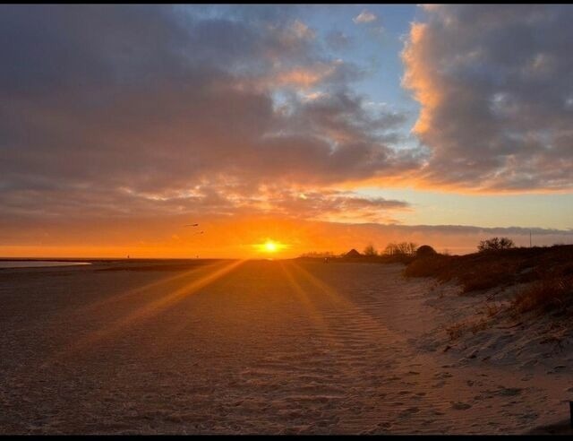 Ferienwohnung in Fehmarn OT Burgtiefe - "Apartment - FerienOase" mit Blick auf Yachthafen - Bild 18