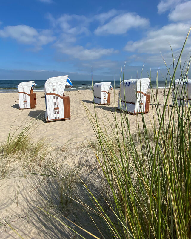 Ferienhaus in Ückeritz - Kormoran - Bild 24