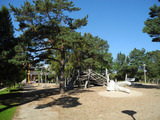Ferienwohnung in Baabe - Strandvilla Baabe 18 - Strandgeflüster - Bild 18