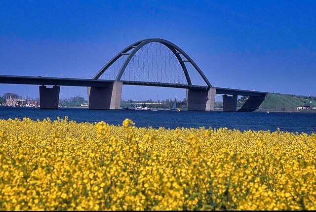 Ferienwohnung in Großenbrode - Meerblick 5 - Großenbrode - Bild 16
