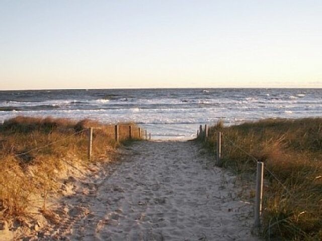 Ferienhaus in Baabe - D&uuml;nenblume - Baabe - Bild 14