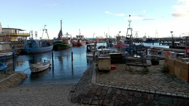 Ferienhaus in Glowe - Schwarze Perle - Glowe - Bild 24