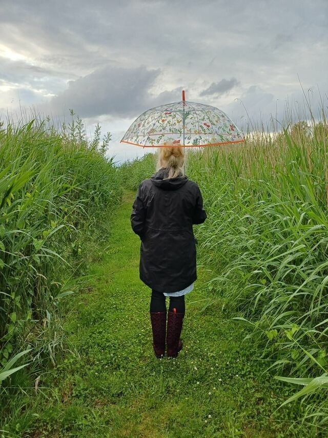 Ferienwohnung in Fuhlendorf - Darssblick - Bild 19