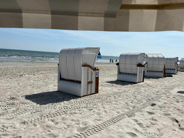 Ferienwohnung in Pönitz am See - Landhaus am See - mit Terrasse und Strandkorb - Bild 16