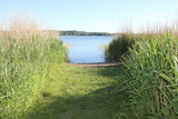 Ferienwohnung in Pönitz am See - Landhaus am See - mit Terrasse und Strandkorb - Bild 22