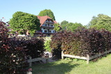 Ferienwohnung in Pönitz am See - Landhaus am See - mit Terrasse und Strandkorb - Bild 23