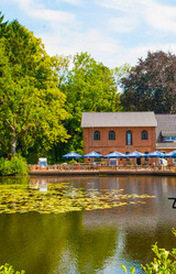 Ferienwohnung in Pönitz am See - Landhaus am See - mit Terrasse und Strandkorb - Bild 24