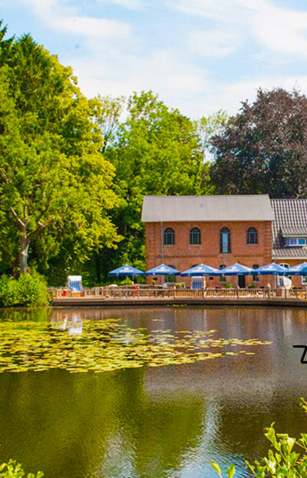 Ferienwohnung in Pönitz am See - Landhaus am See - mit Terrasse und Strandkorb - Bild 24