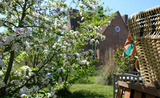 Ferienhaus in Kellenhusen - Altes Zollamt - Sünnschien - Bild 1