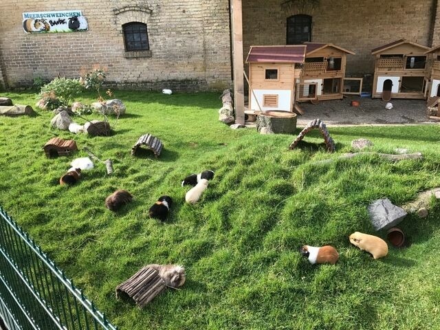 Ferienhaus in Fehmarn OT Staberdorf - Reetdachhaus 2, inkl. 2 Parkpl&auml;tze - Bild 21