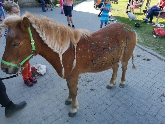 Ferienwohnung in Fehmarn OT Staberdorf - Tenne 1, inkl. 1 Parkplatz - Bild 10