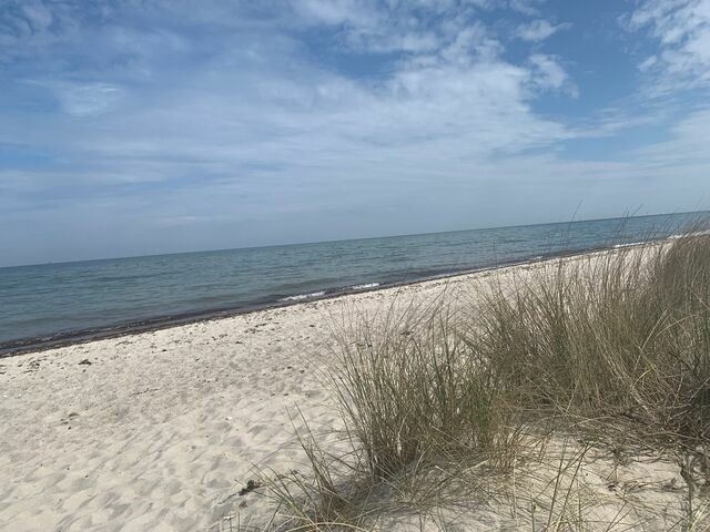 Ferienhaus in Hasselberg - Ferienhaus Knorrl&uuml;ck - Bild 20