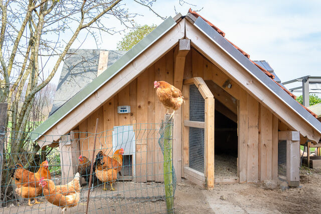 Ferienwohnung in Waabs - Ostseegarten Langholz - Ferienwohnung Morgentau (bis 6 Pers) - Bild 24
