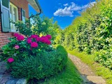 Ferienhaus in Glowe - Dat Klinkerhus auf Rügen XXL - Urlaubsparadies nahe Ostseestrand & Nationalpark für 17 Gäste - Bild 10