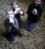 Ferienhaus in Grömitz - 70 qm Schwedenhaus - Bild 12