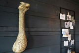 Ferienwohnung in Kellenhusen - Schützenweg 7-9 Erholungszeit - Bild 16