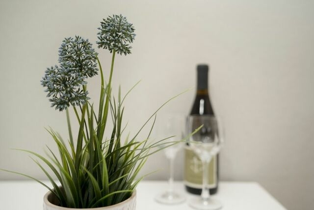 Ferienwohnung in Gr&ouml;mitz - Haffkamp 16 Heimelig - Bild 20