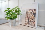 Ferienwohnung in Grömitz - Marina Breeze - Bild 19