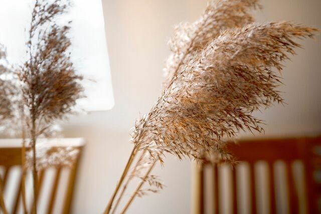 Ferienwohnung in Scharbeutz - Haus Pegasus Küstenliebe - Bild 11