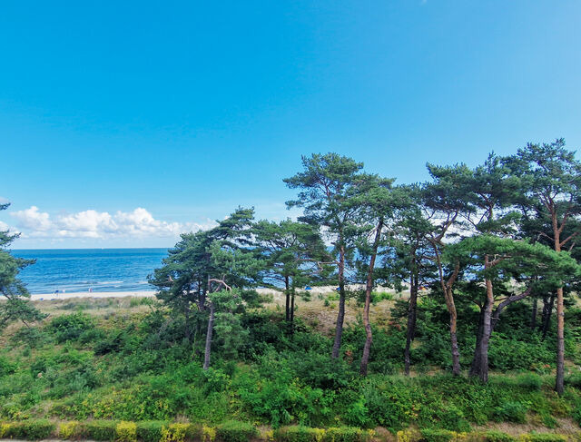 Ferienwohnung in Seebad Bansin - (Brise) Seeresidenz Villa Ida Marie App. 03 - Bild 24