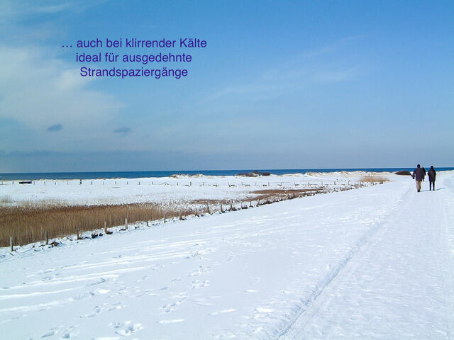 Ferienwohnung in Wendtorf - Beach Flat Wendtorfer Strand - Haus Nordlichter - Bild 24