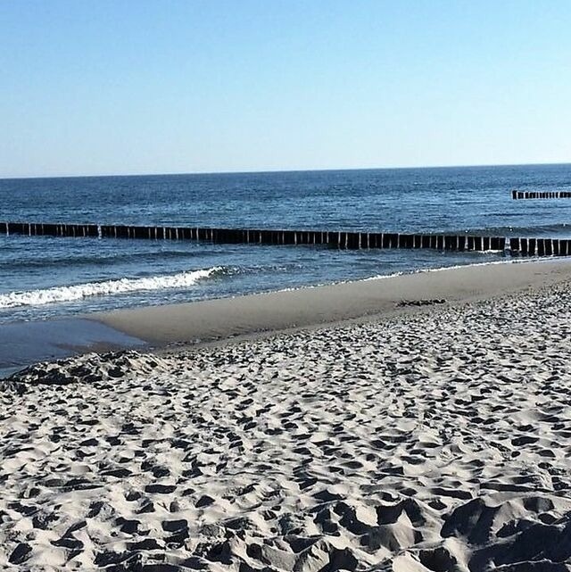 Ferienhaus in Ostseeheilbad Zingst - Walfisch - Bild 19