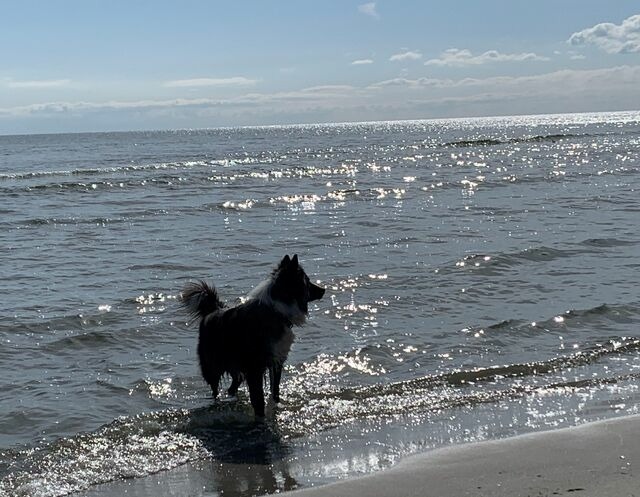 Ferienwohnung in G&ouml;hren - Villa Kehrwieder Fewo Nr. 3 EG - Bild 8